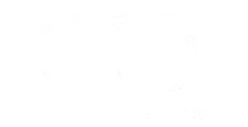 SRP CRANE CONTROLS (INDIA) PRIVATE LIMITED